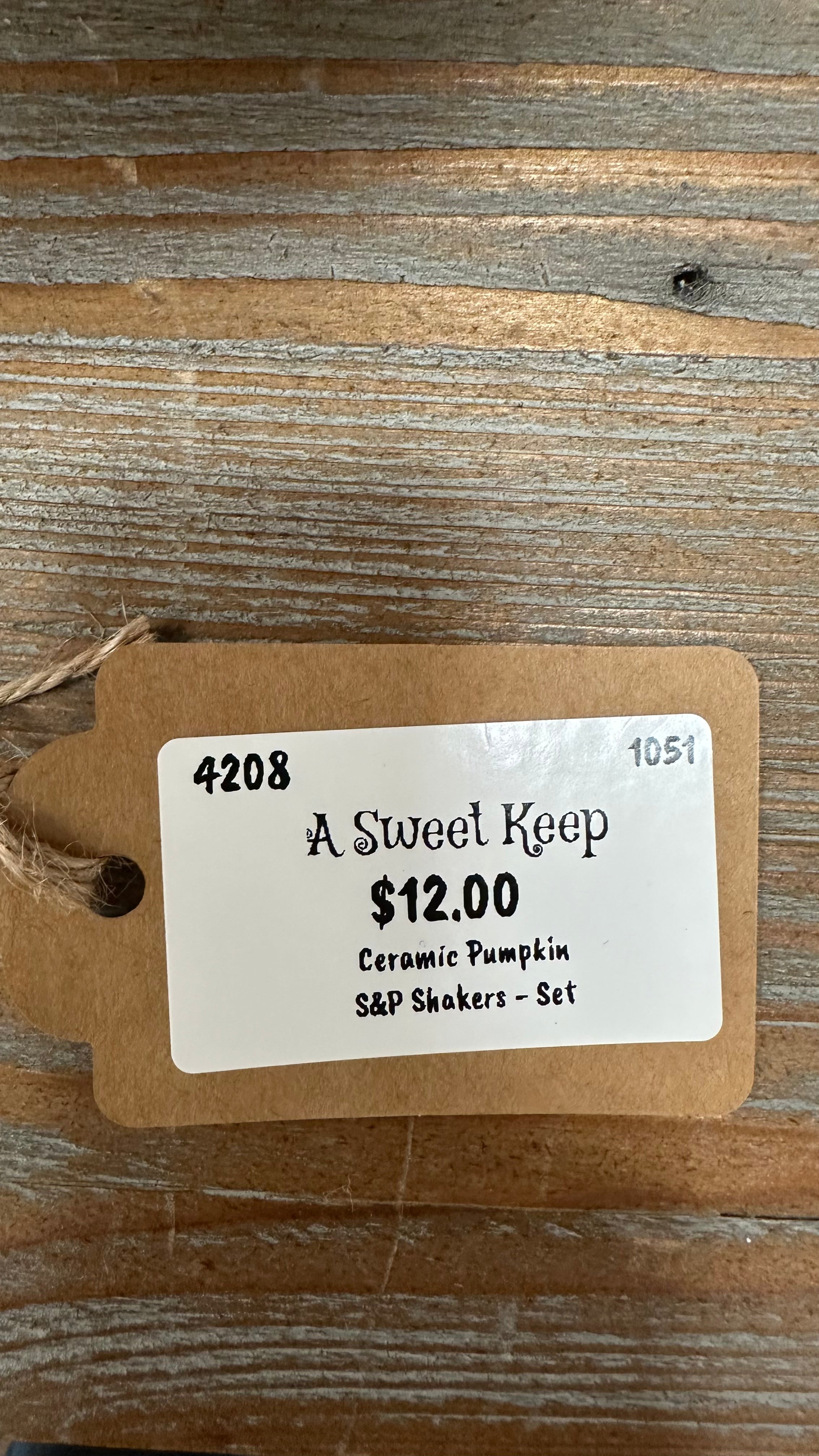 Ceramic Pumpkin Salt & Pepper Shakers