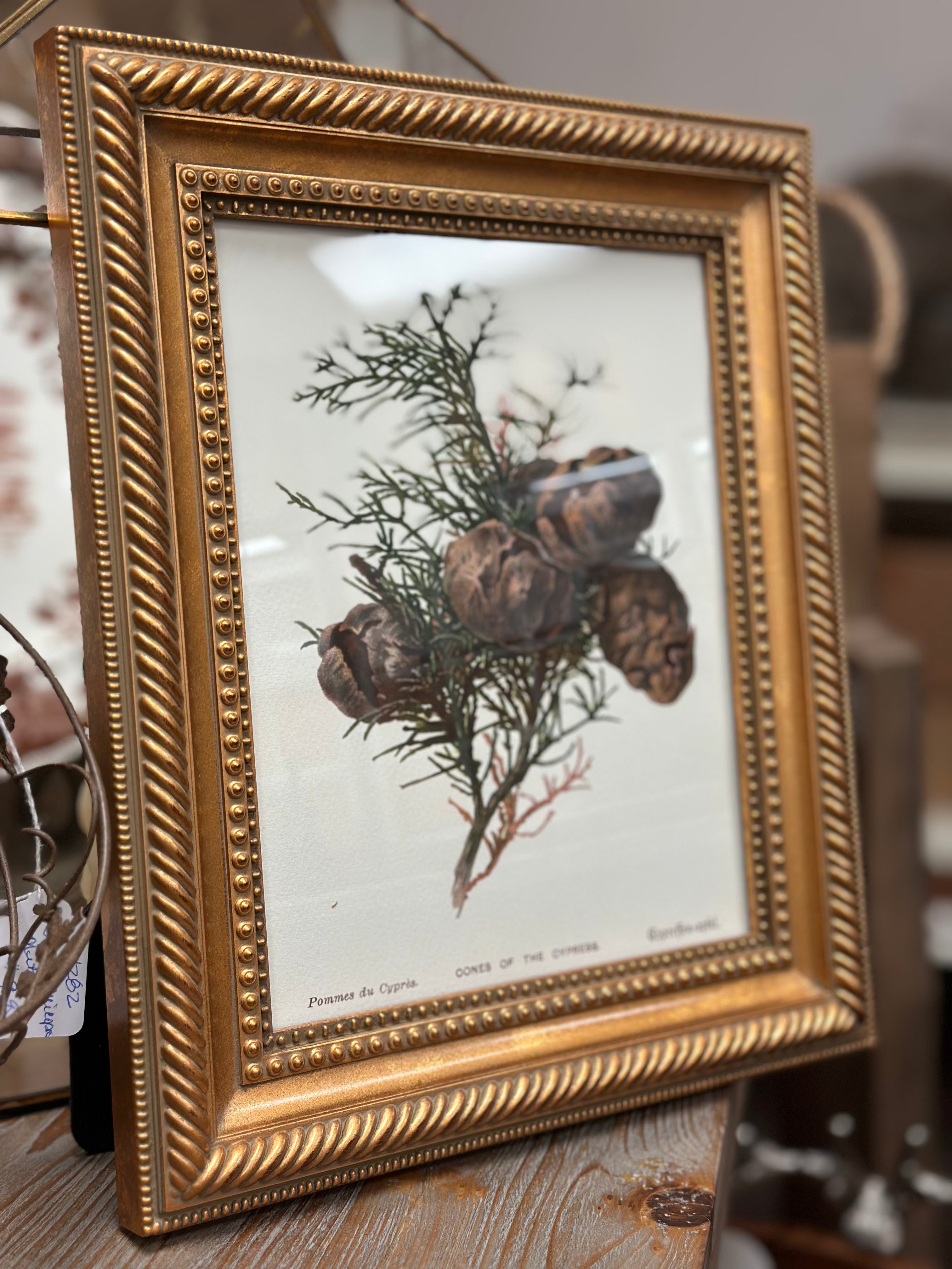 Gold Framed Cypress Botanical