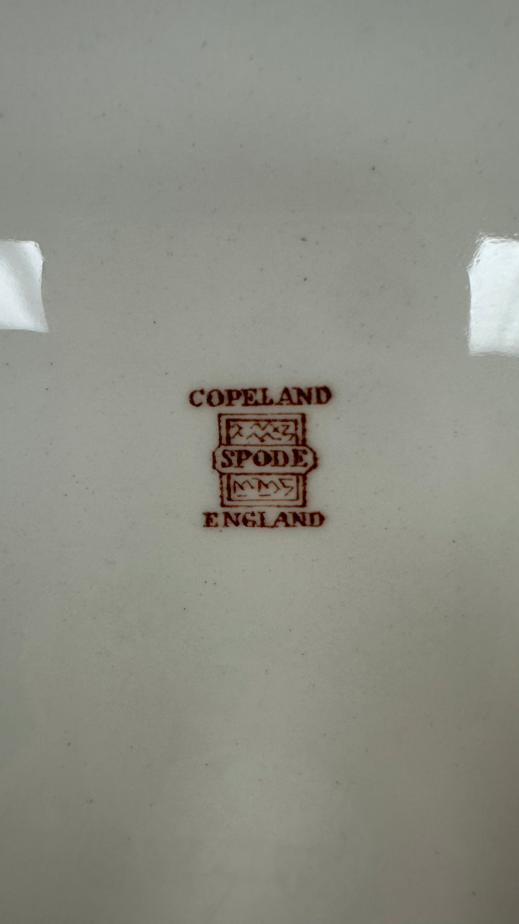 Copeland Spode Turkey Platter